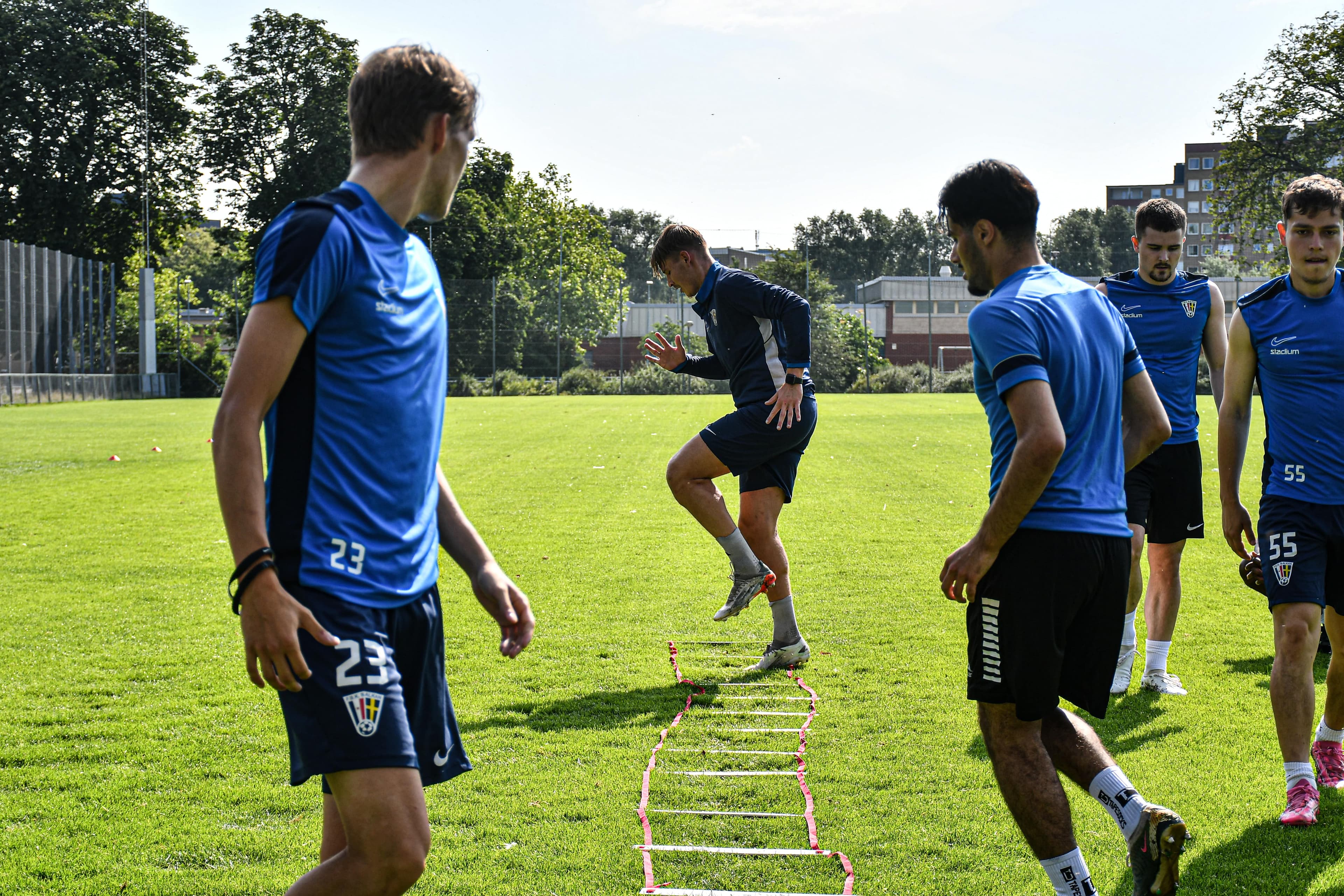 Basic Screening + Training Program